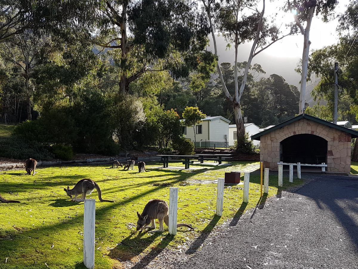 Breeze Holiday Parks - Halls Gap Exteriör bild