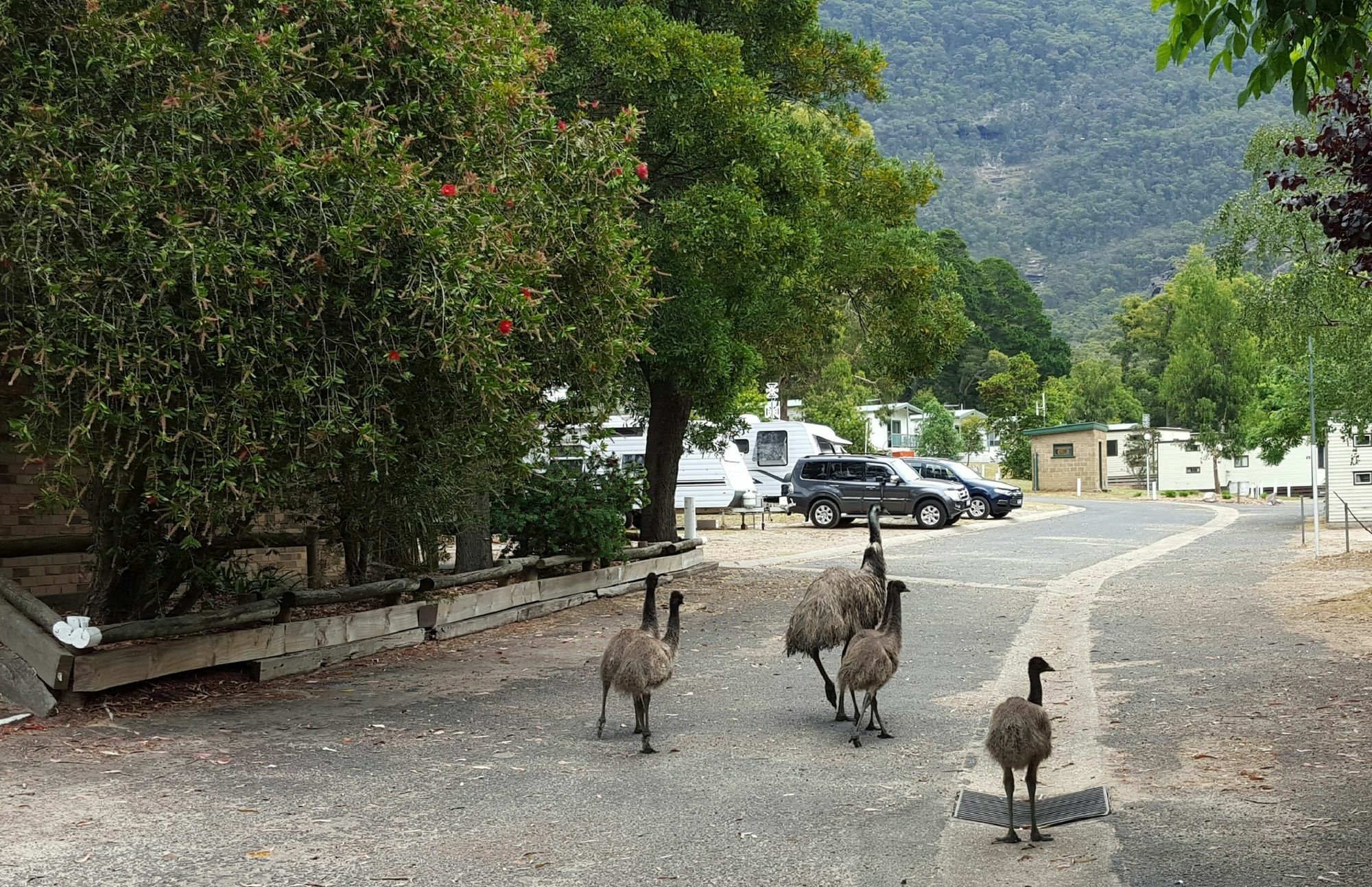 Breeze Holiday Parks - Halls Gap Exteriör bild